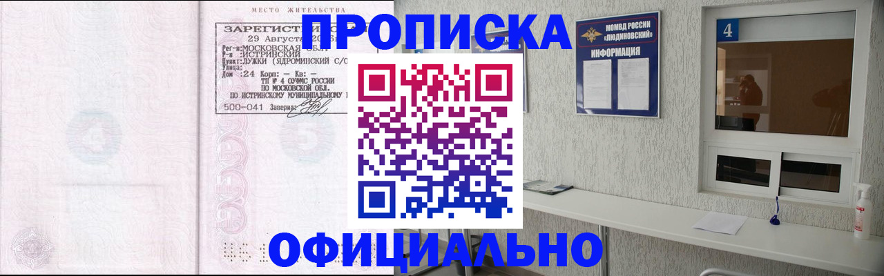 временная регистрация госуслуги в Лузе